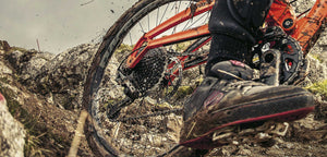 BICI